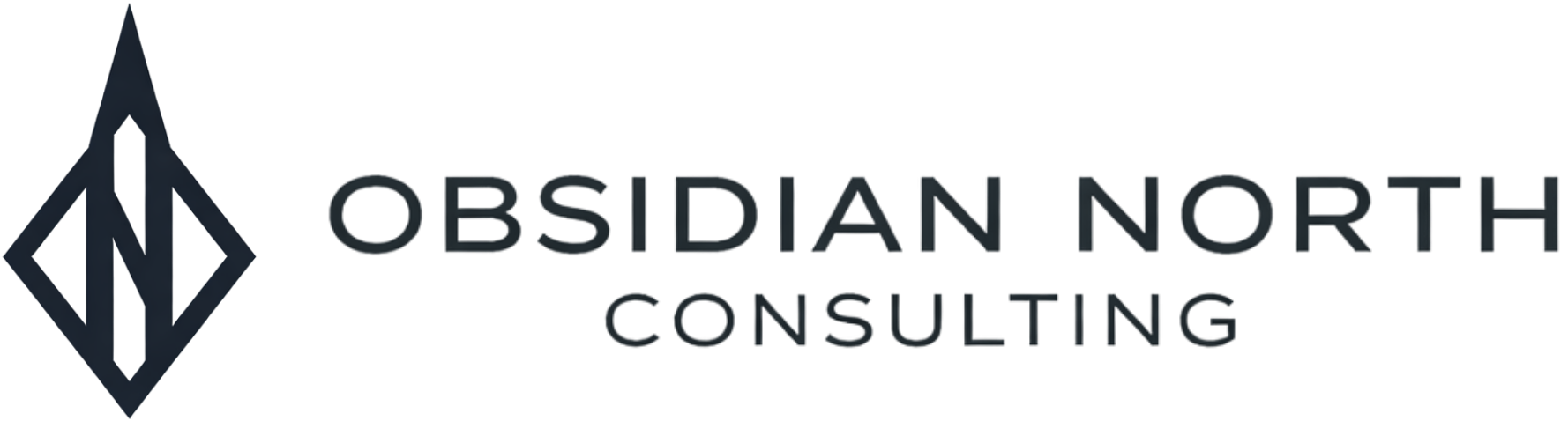 Obsidian North, LLC. | Innovation, Automation, & AI Consulting