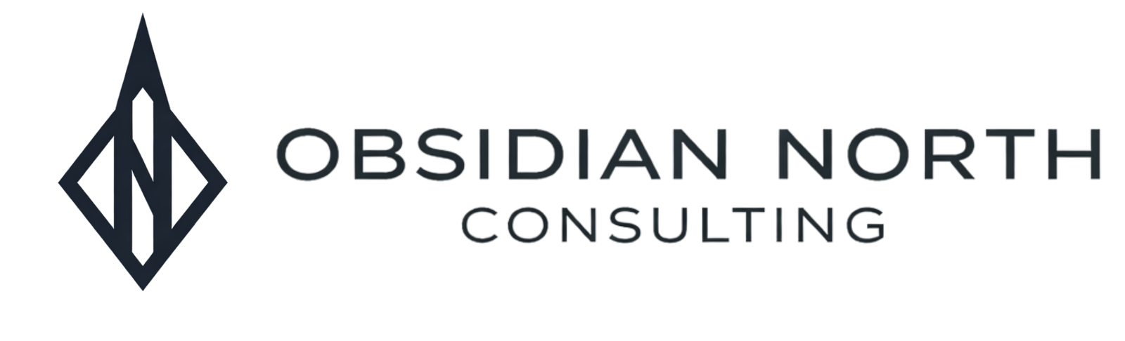 Obsidian North, LLC. | Innovation, Automation, & AI Consulting